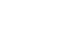 Logo Developify